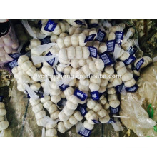 2014 новый урожай обычный белый чеснок 5.0cm + из Китая
